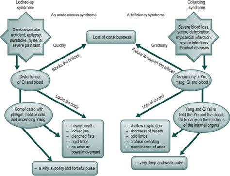 yin deficiency syndrome criteria